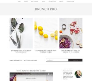 Brunch-pro | webtronix designs web agency
