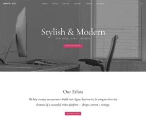 Infinity-pro-1 | webtronix designs web agency