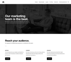 Monochrome-pro | webtronix designs web agency