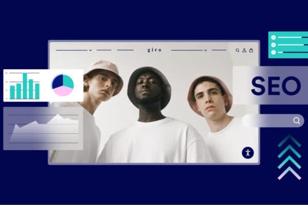 web accessibility and seo traffic